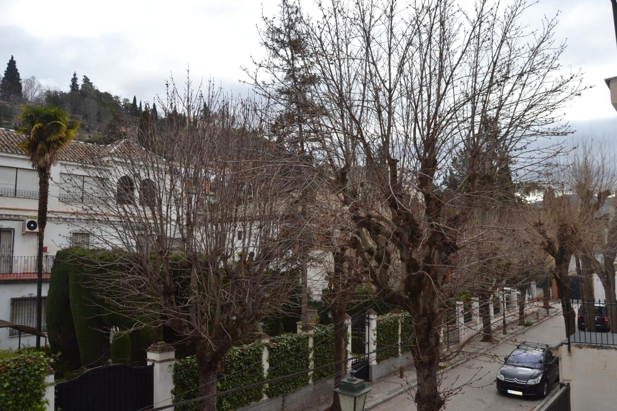 Carmen Del Cadi Apartment กรานาดา ภายนอก รูปภาพ